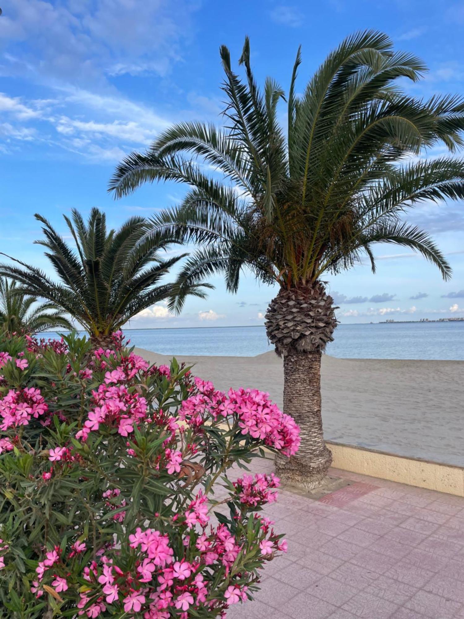 Casa Del Sol - Santiago De La Ribera, San Javier, 600 M From The Beach, Swimming Pool Exterior photo